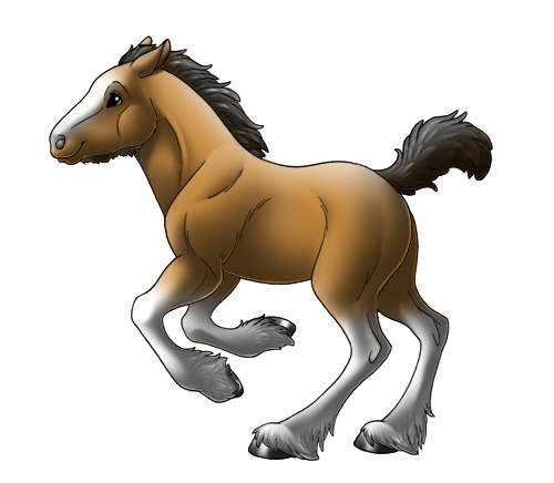 Clydesdale
