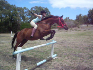 Amy & her horse Beau