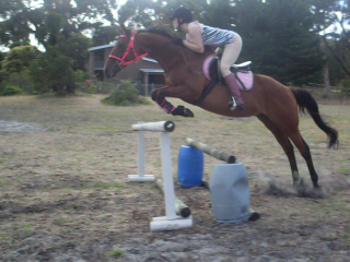 Amy & her horse Beau